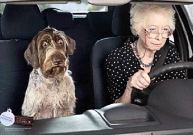 Ford fusion old lady smiles #6